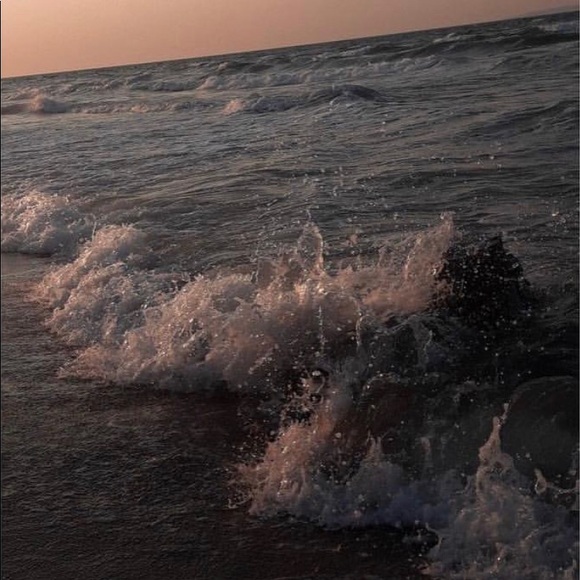 savi29_m